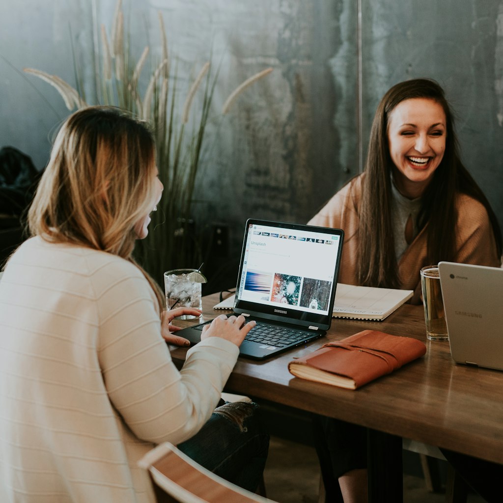 Two colleagues in a meeting with laptops